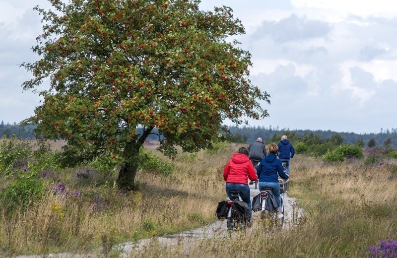 Fietsen in drenthe